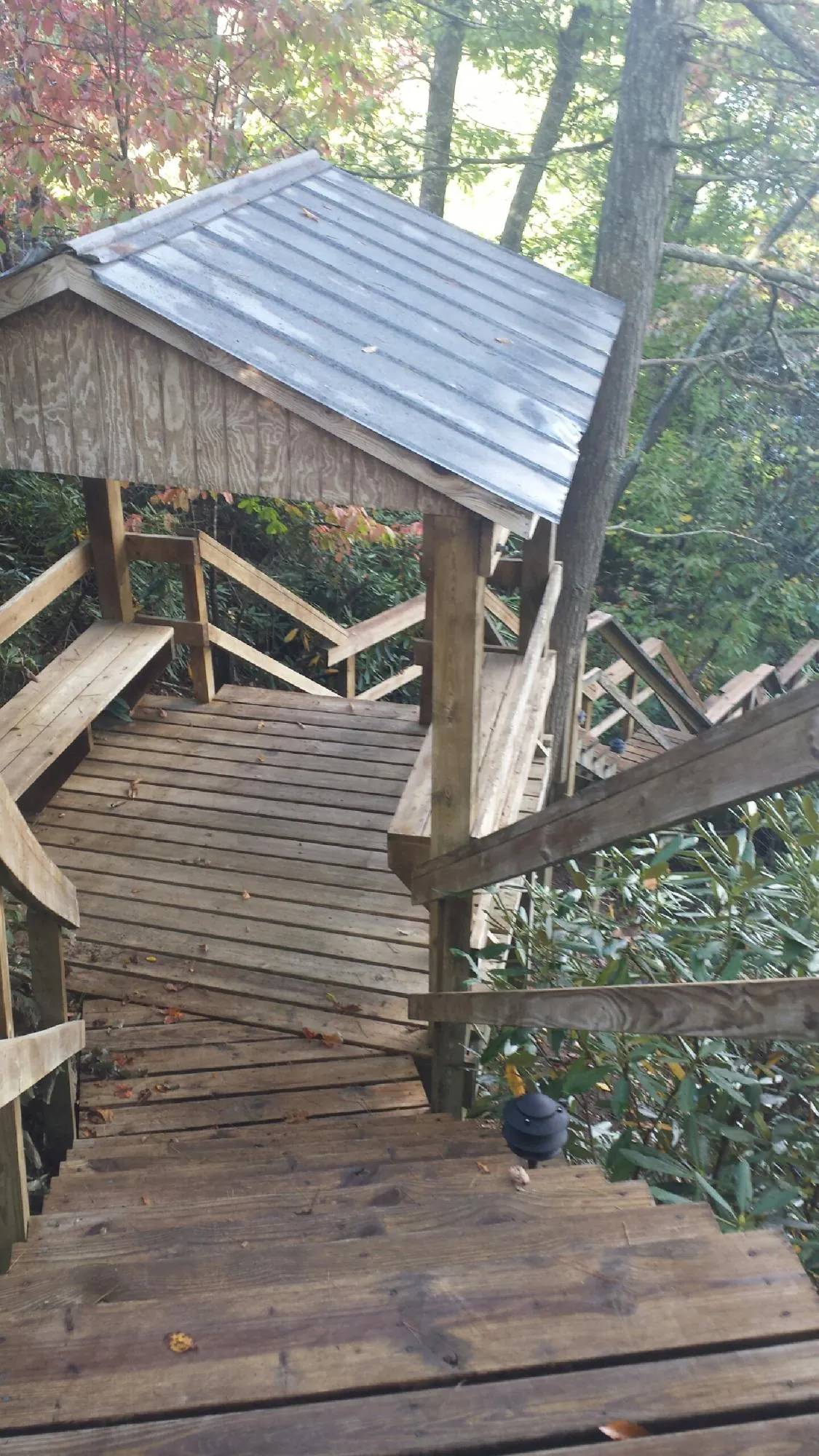Metal roofed shelter over wooden steps on a wooded walkway — Skylight Repair & Installation work by our crew in Rothsay
